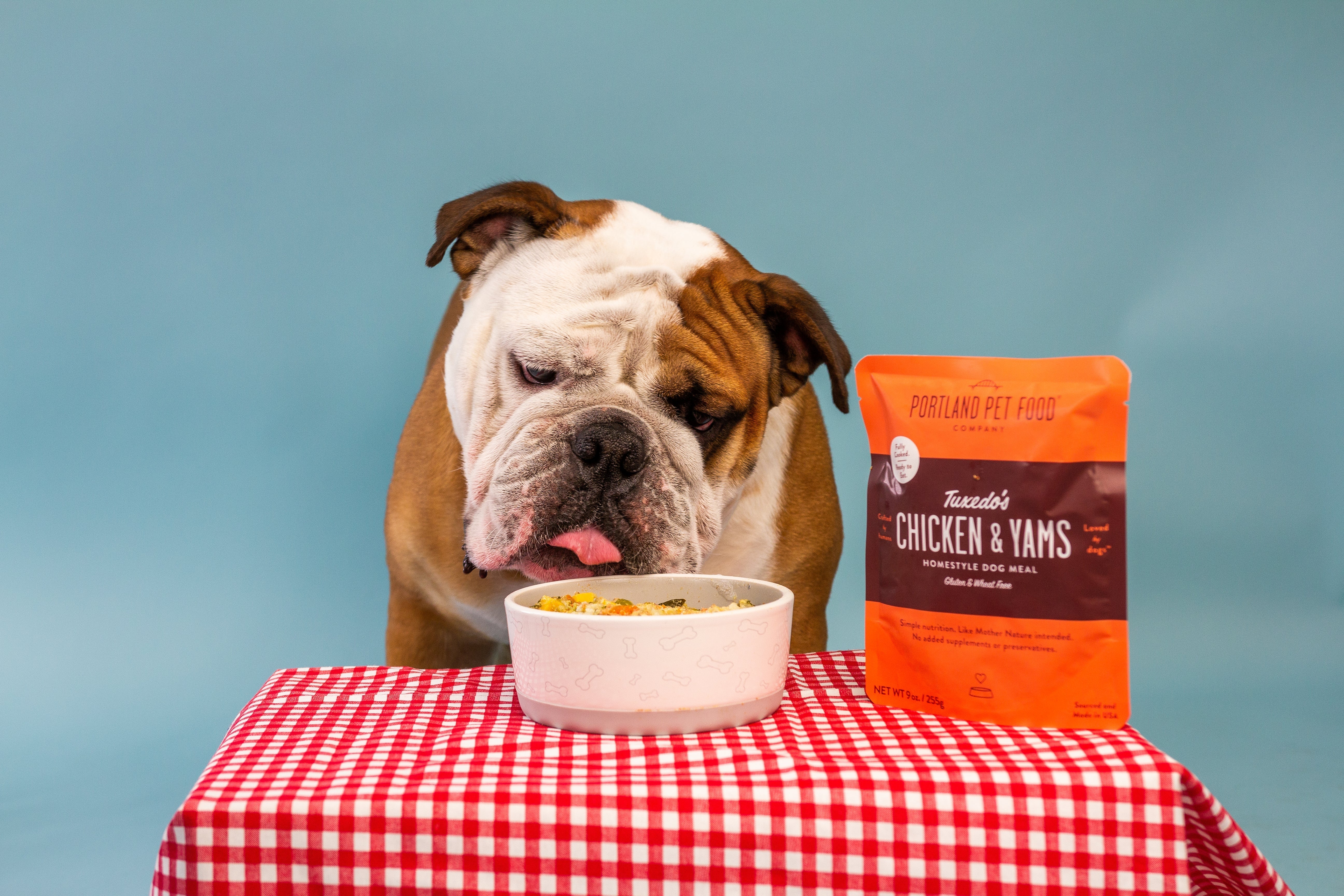A bowl of kibble with a healthy, human-grade dog food topper