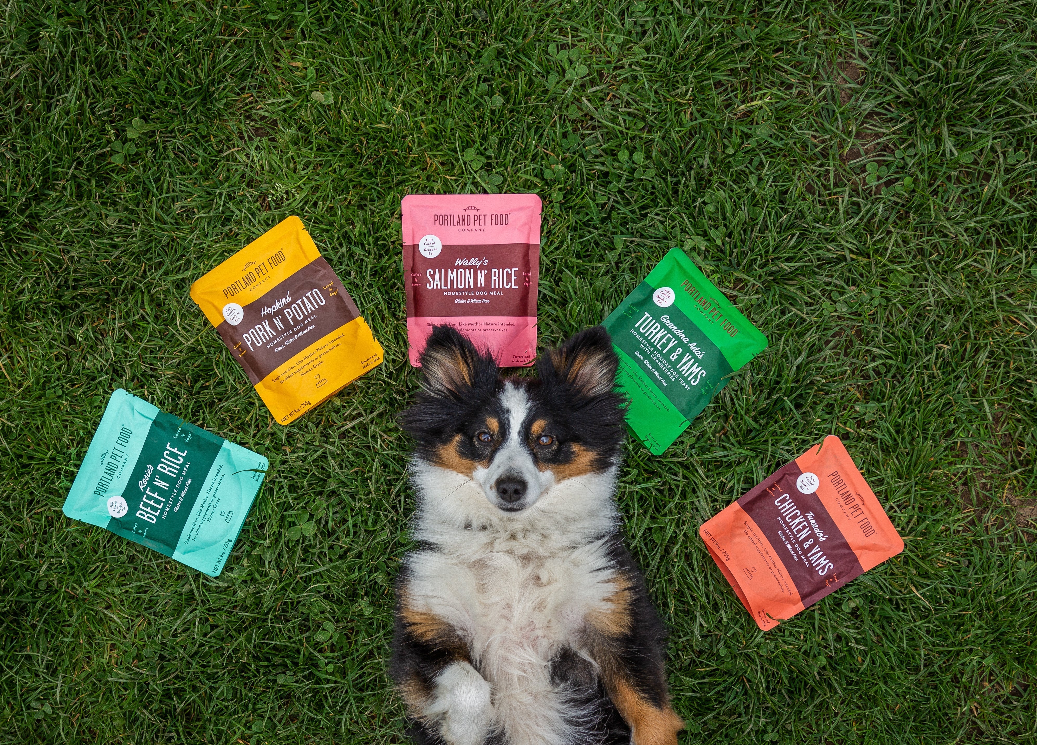 Portland Pet Food Company Upcycling Report 2022