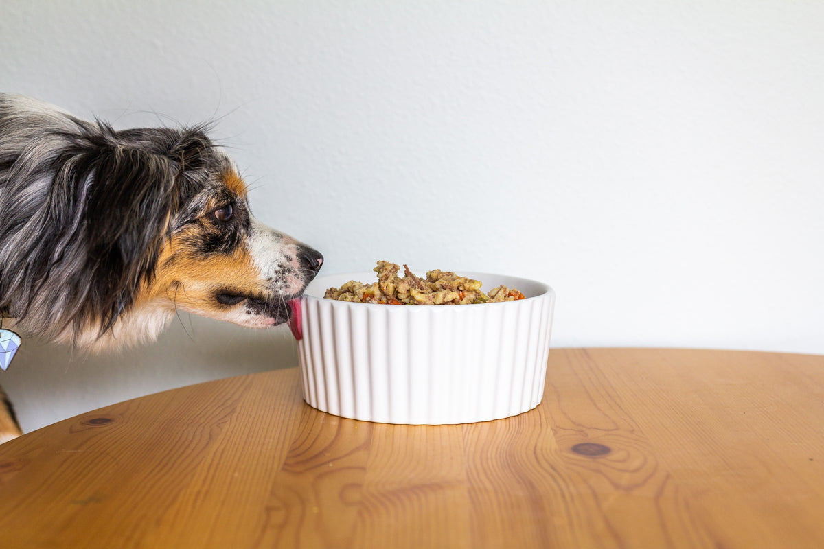 The benefits of feeding fresh dog food What to expect Portland Pet Food Company