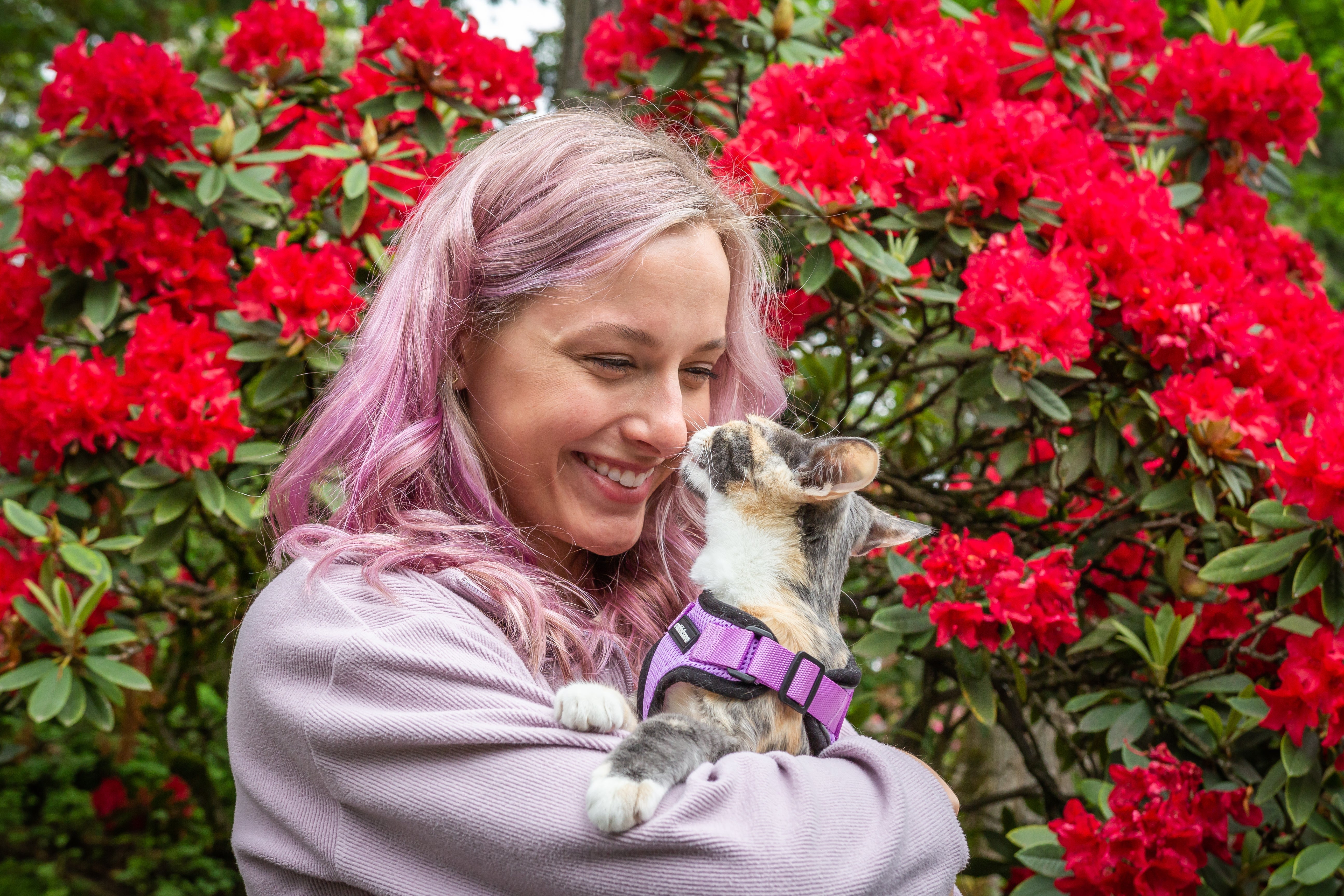 5 Essential Tips for New Cat Owners