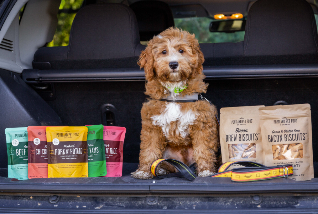 A dog in a car with Portland Pet Food Company's limited ingredient dog food toppers and dog treats.
