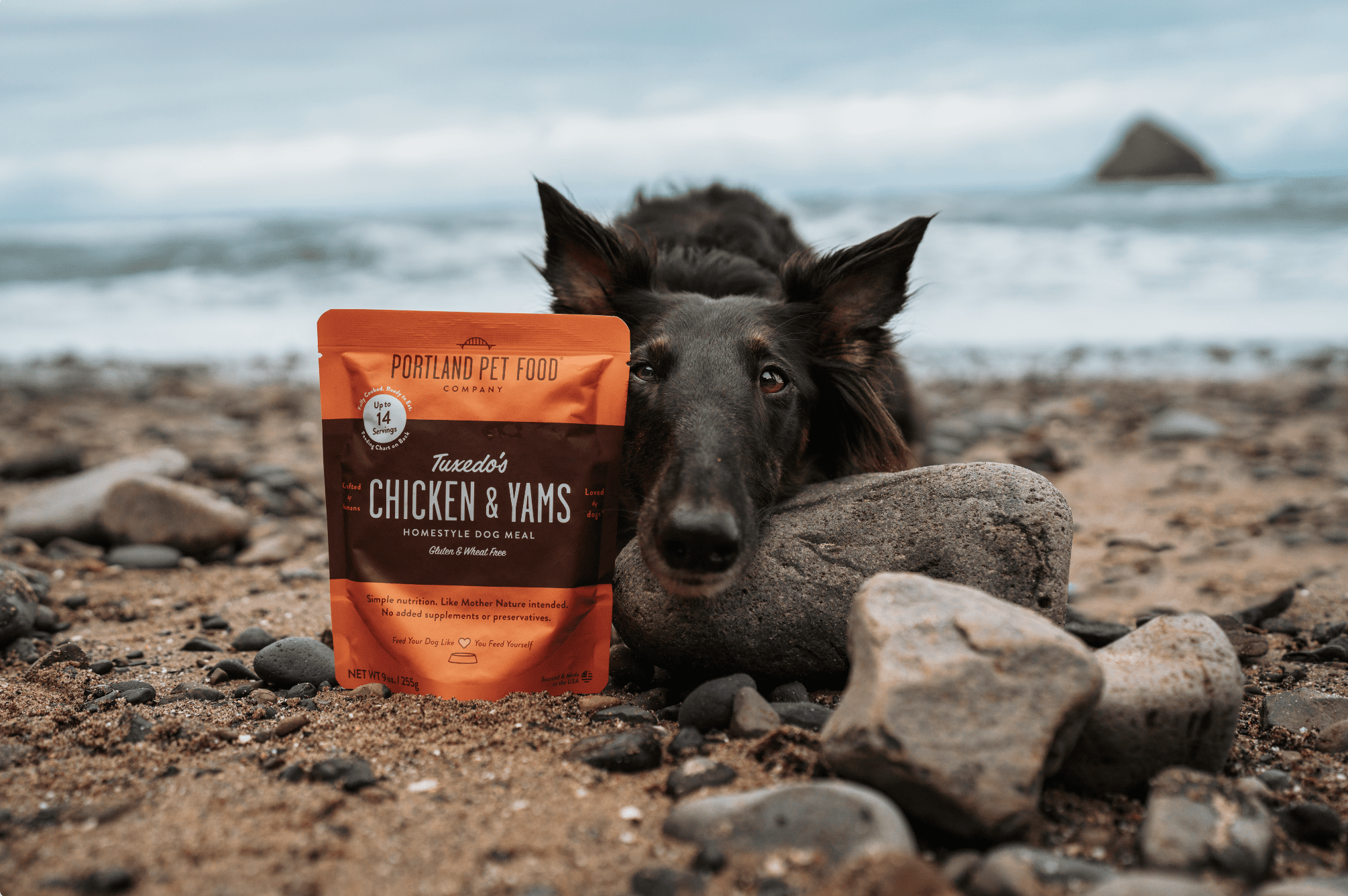 Tips to Keep Your Senior Dog Healthy - Portland Pet Food Company