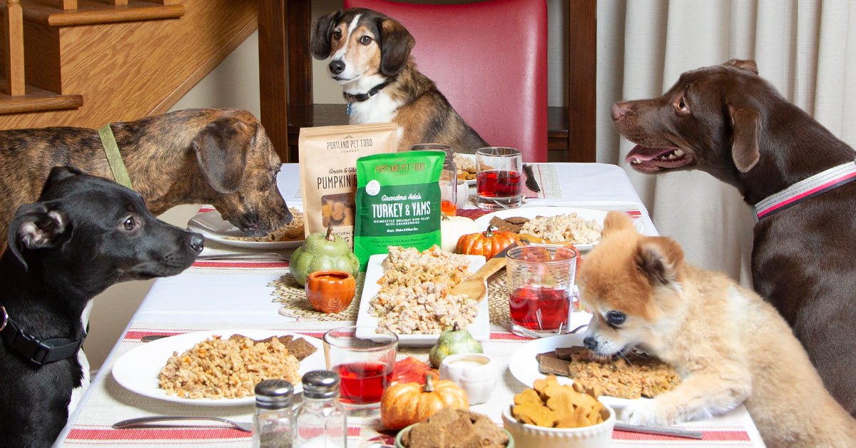 Which Holiday Foods Are Safe for My Pet? - Portland Pet Food Company