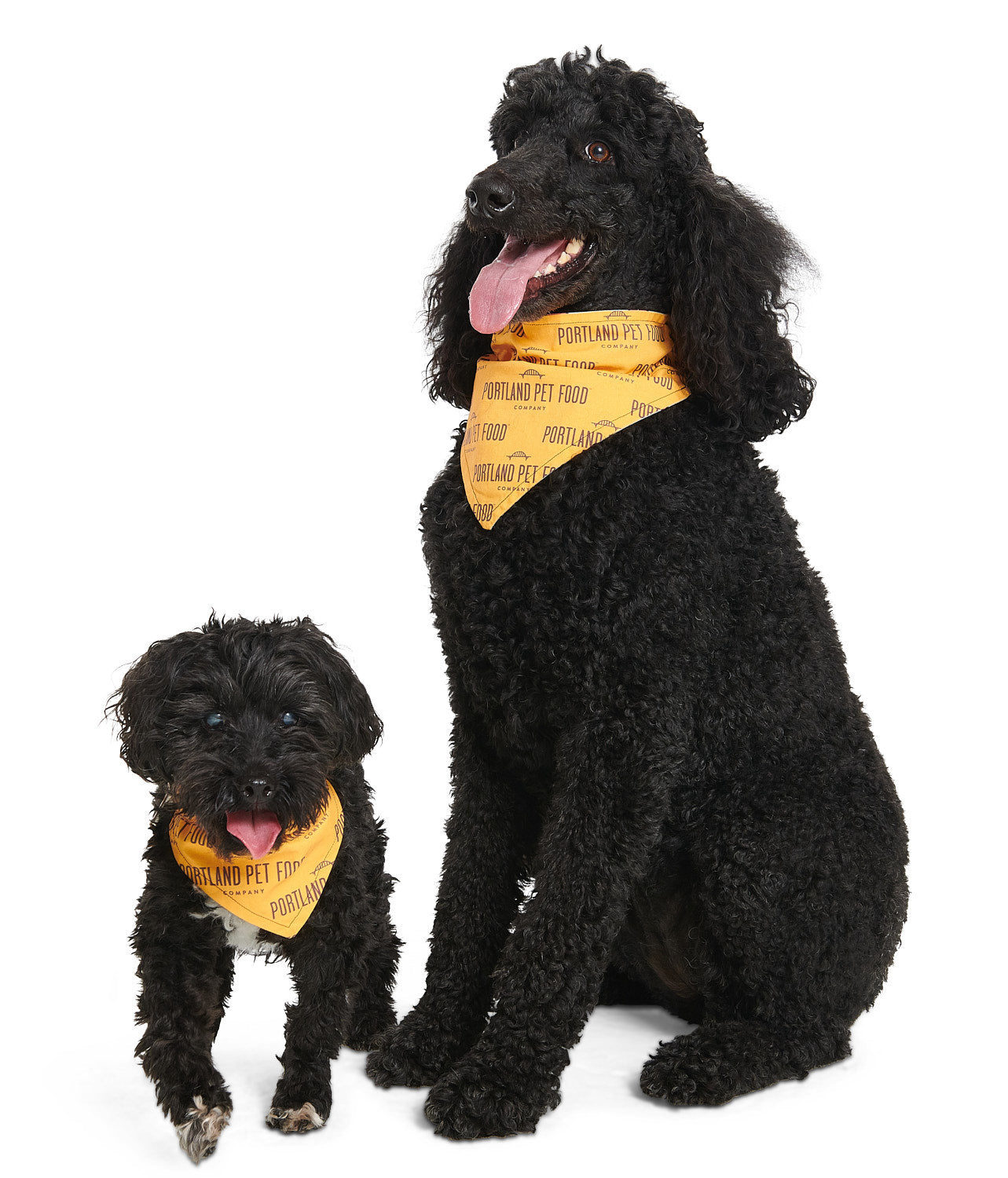 PPFC Bandana
