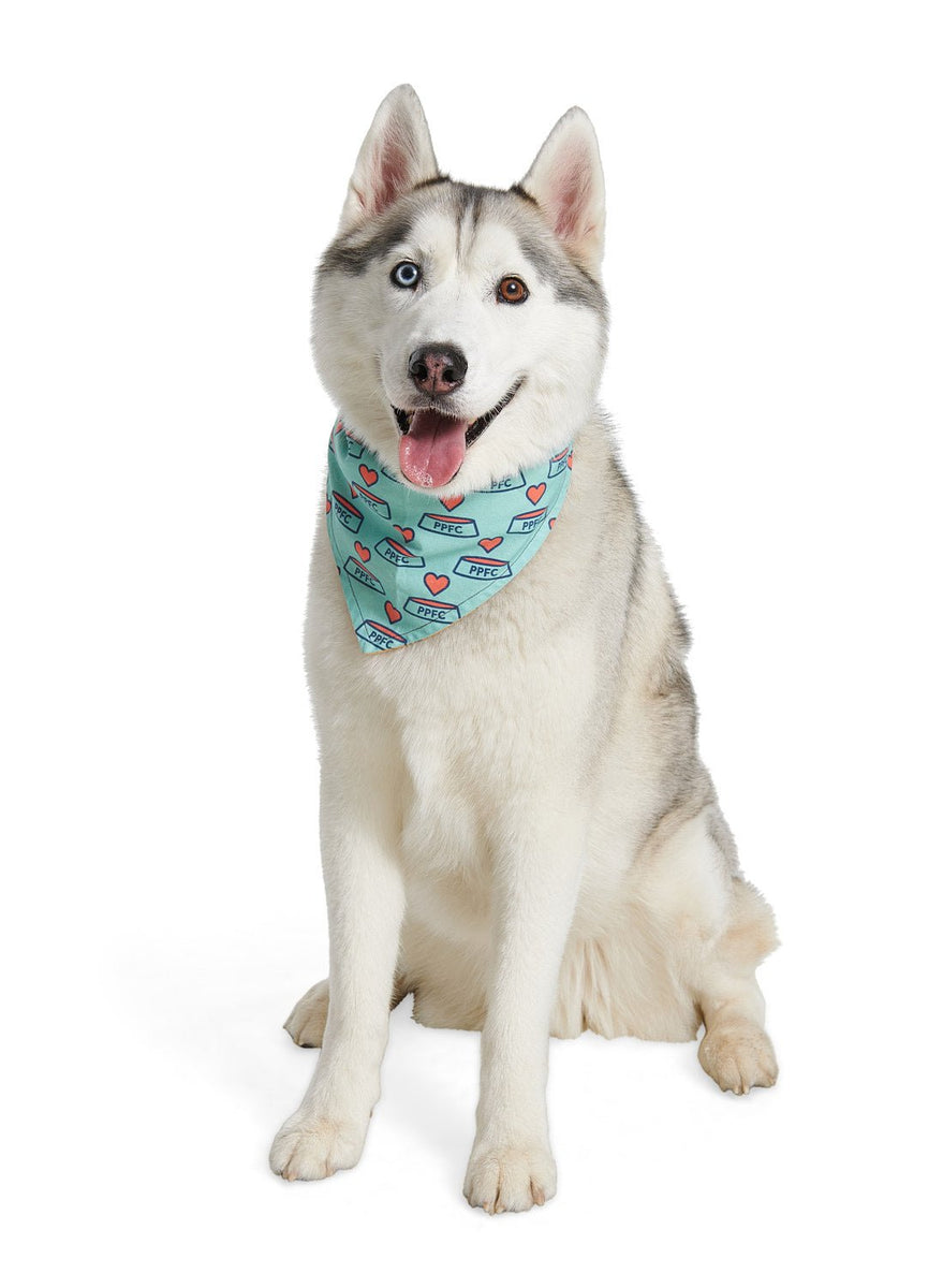 PPFC Dog Bandana | Reversible Dog Bandanas – Portland Pet Food Company