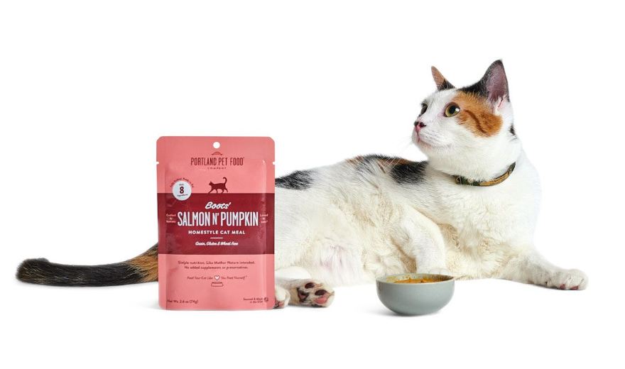 A cat enjoying a healthy bowl of human-grade cat food from Portland Pet Food Company.