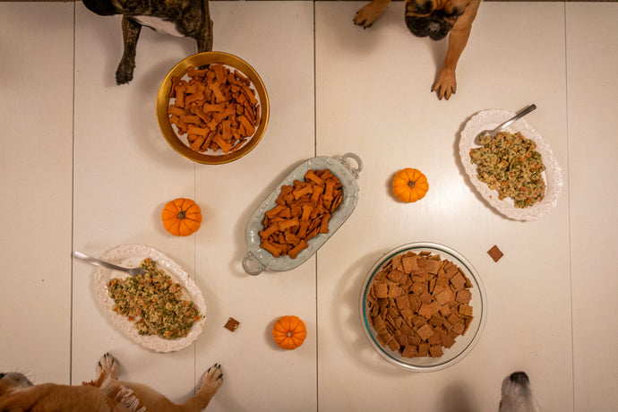 Thanksgiving Table Scraps That Dogs Shouldn’t Eat