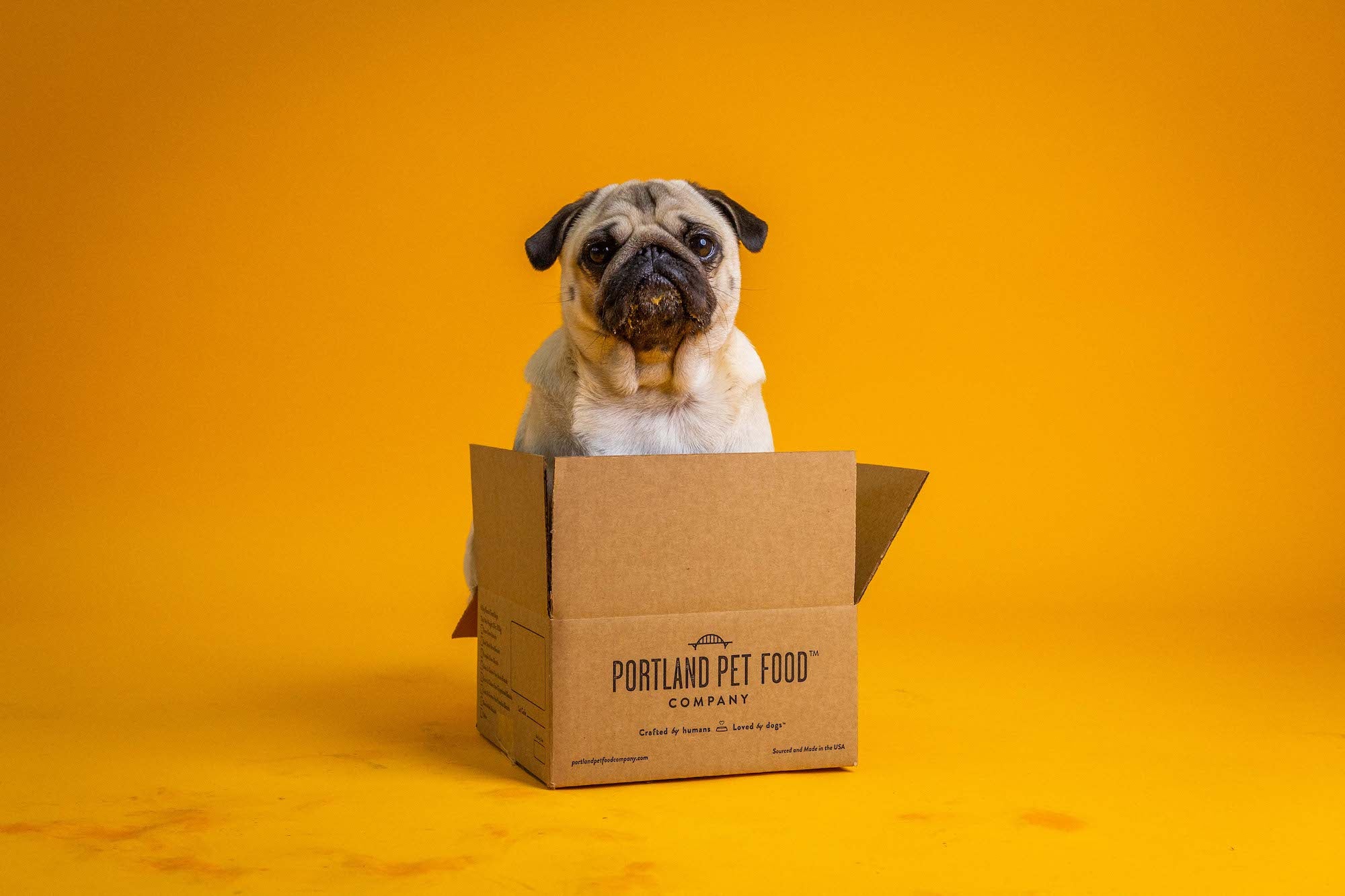 Pug sitting in a box.