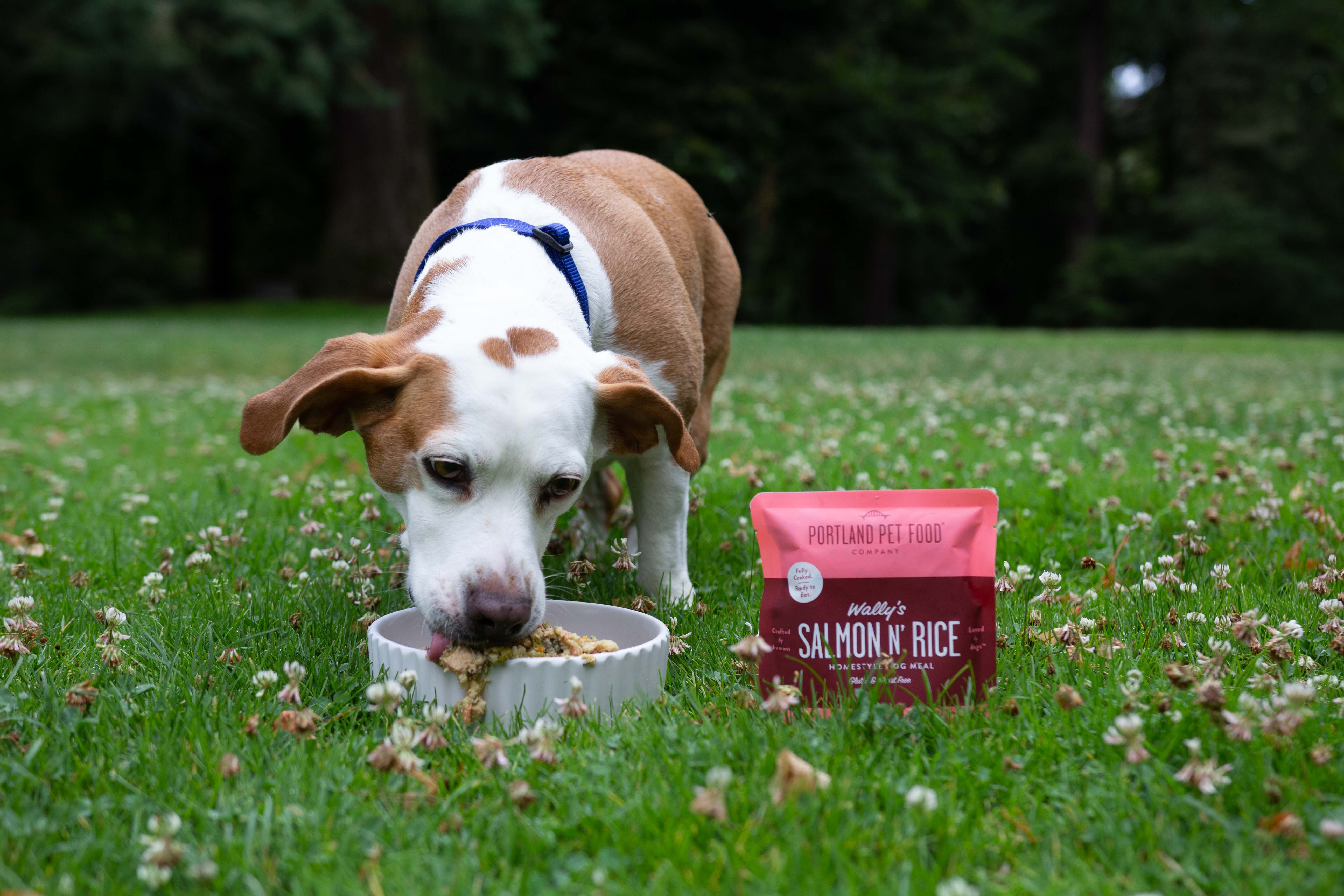 How To Feed Portland Pet Food Company Dog Meals