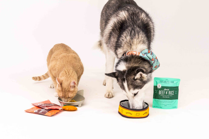 4 Creative Ways To Incorporate Portland Pet Food Into Your Routine!