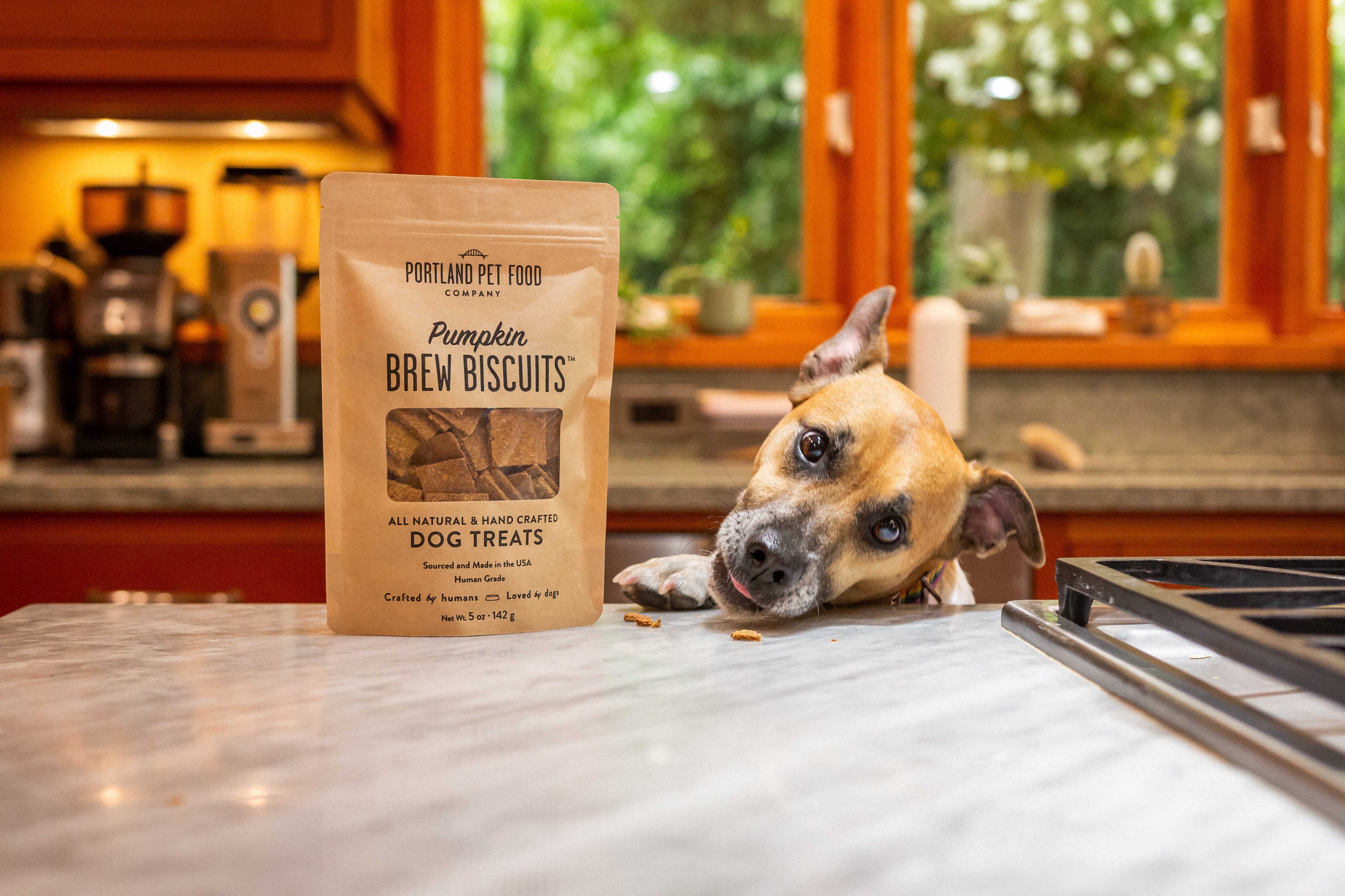 Sustainable Dog Food Toppers Dog Treats Sustainability