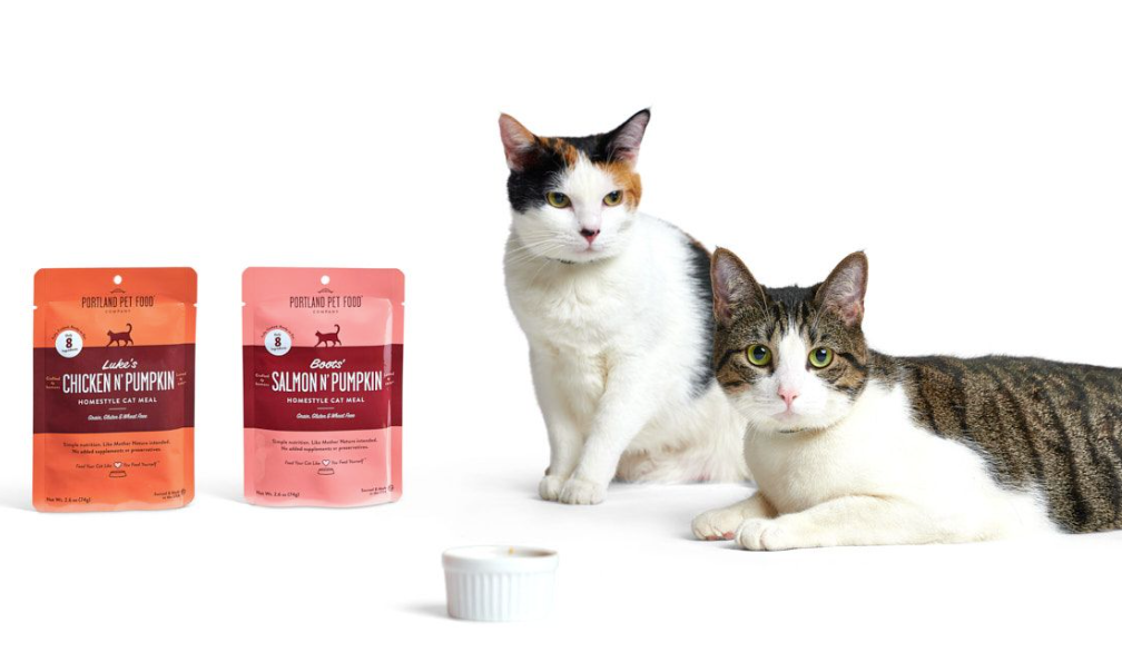Two cats patiently waiting to eat their bowl of human-grade wet cat food from Portland Pet Food Company.