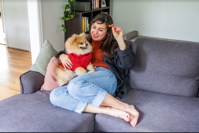 What To Feed Dogs With Bad Breath