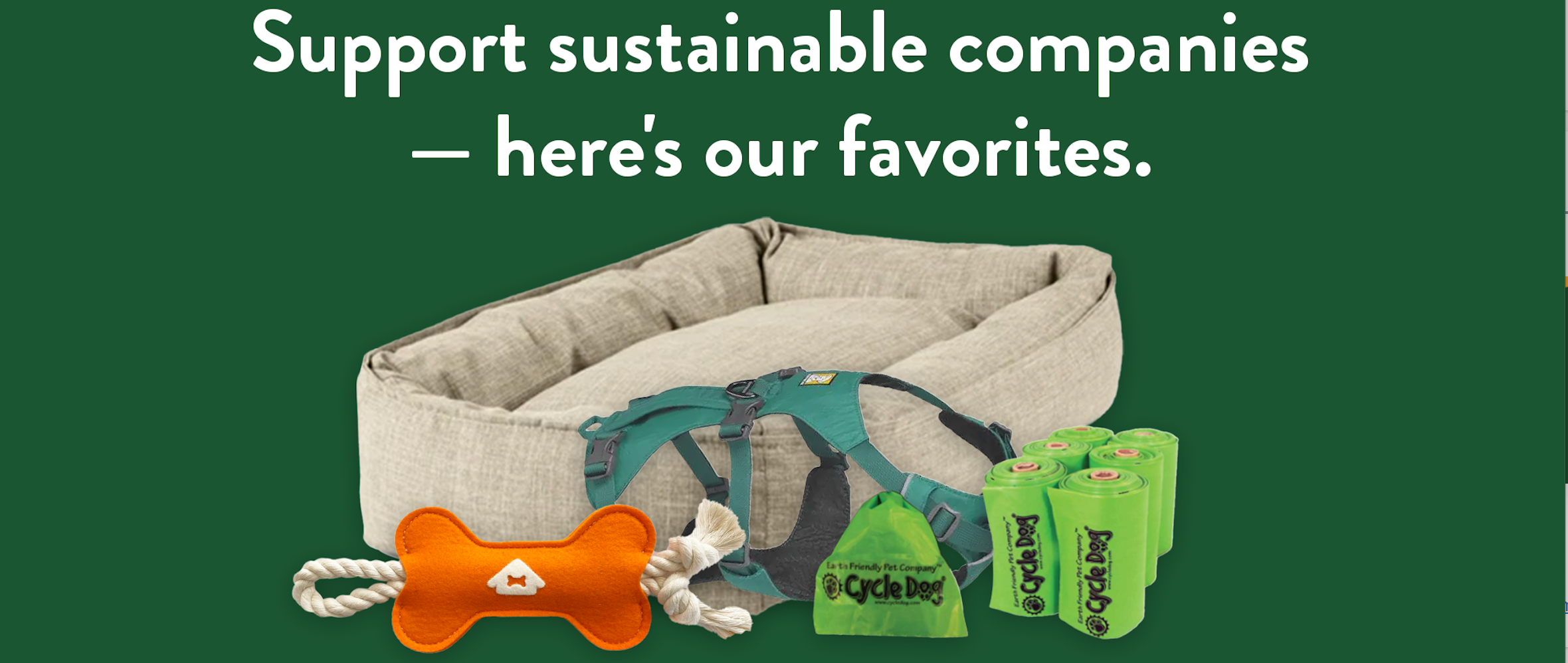 Our Favorite Sustainable Pet Brands
