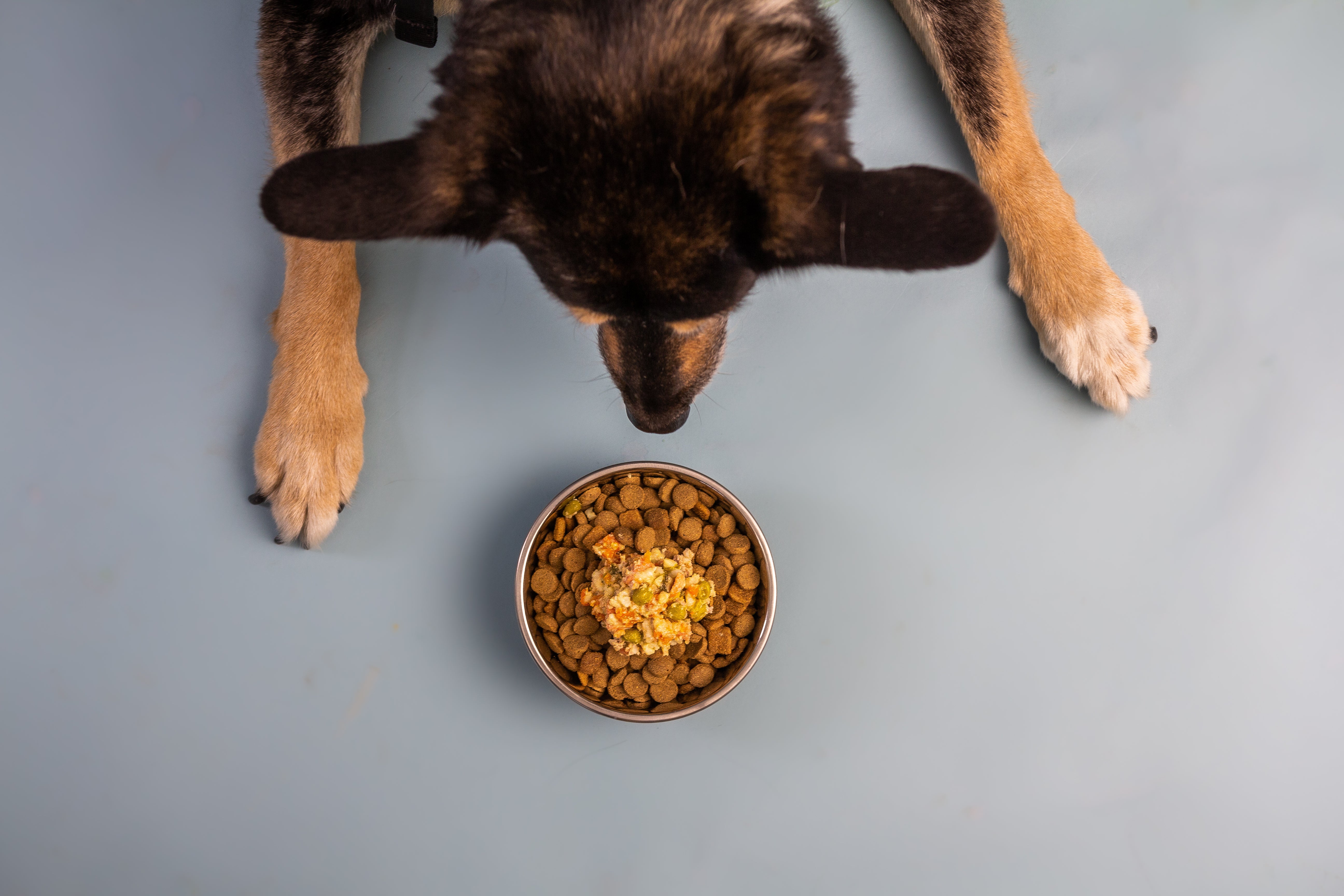 A healthy dog food topper for picky eater