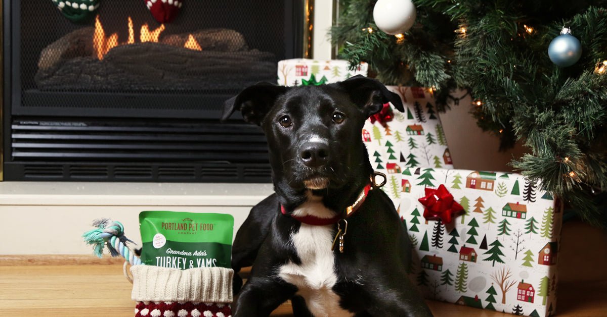 A Real Good Dog Gift Guide - Portland Pet Food Company