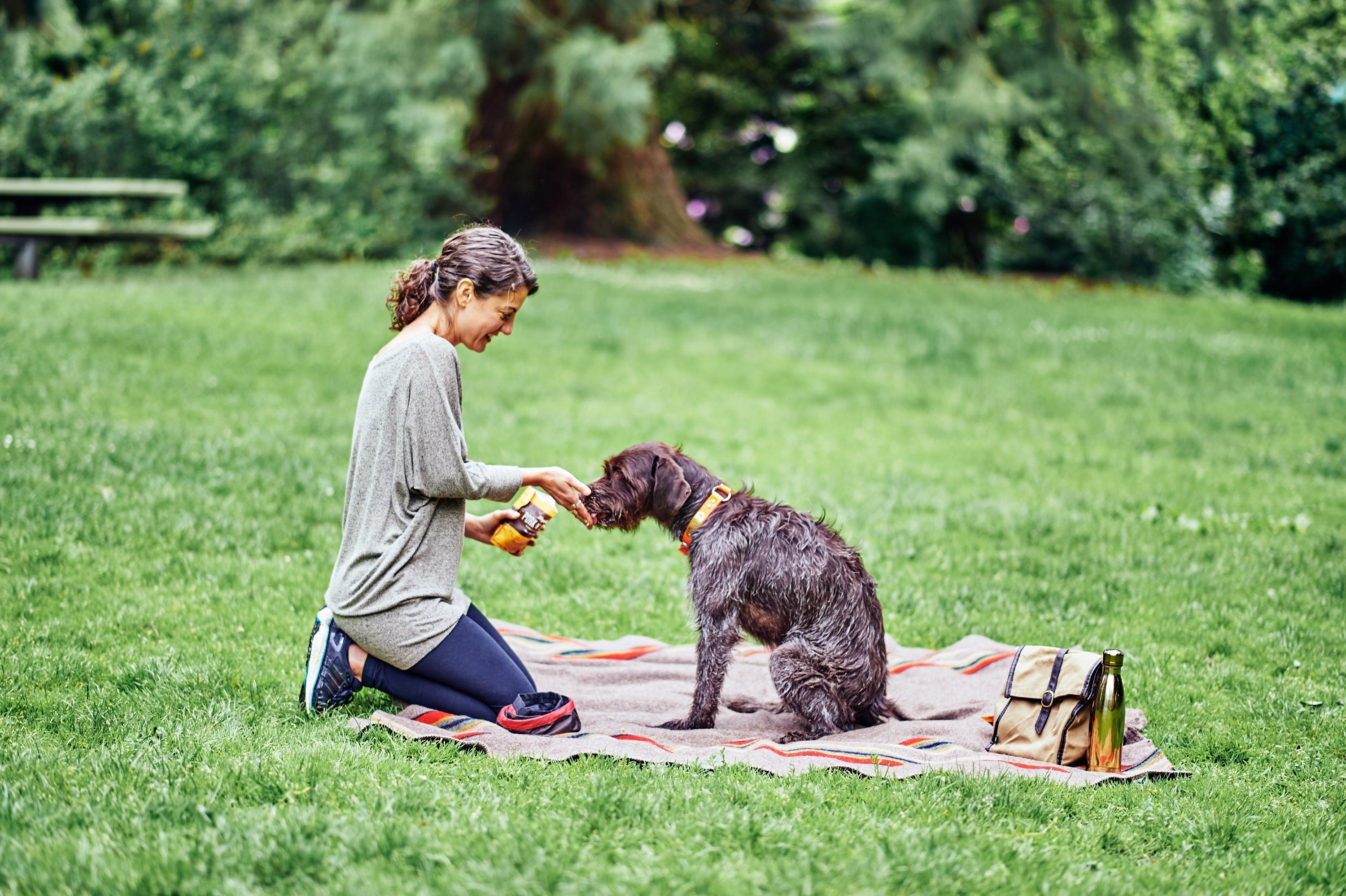 Are You Raising a Holistic Pet? - Portland Pet Food Company