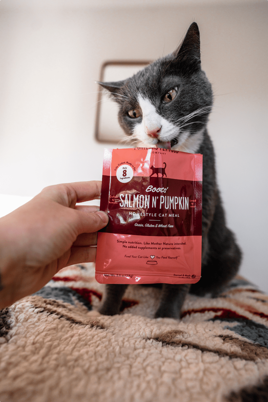 Best Cat Food For Senior Cats With Sensitive Stomachs - Portland Pet Food Company