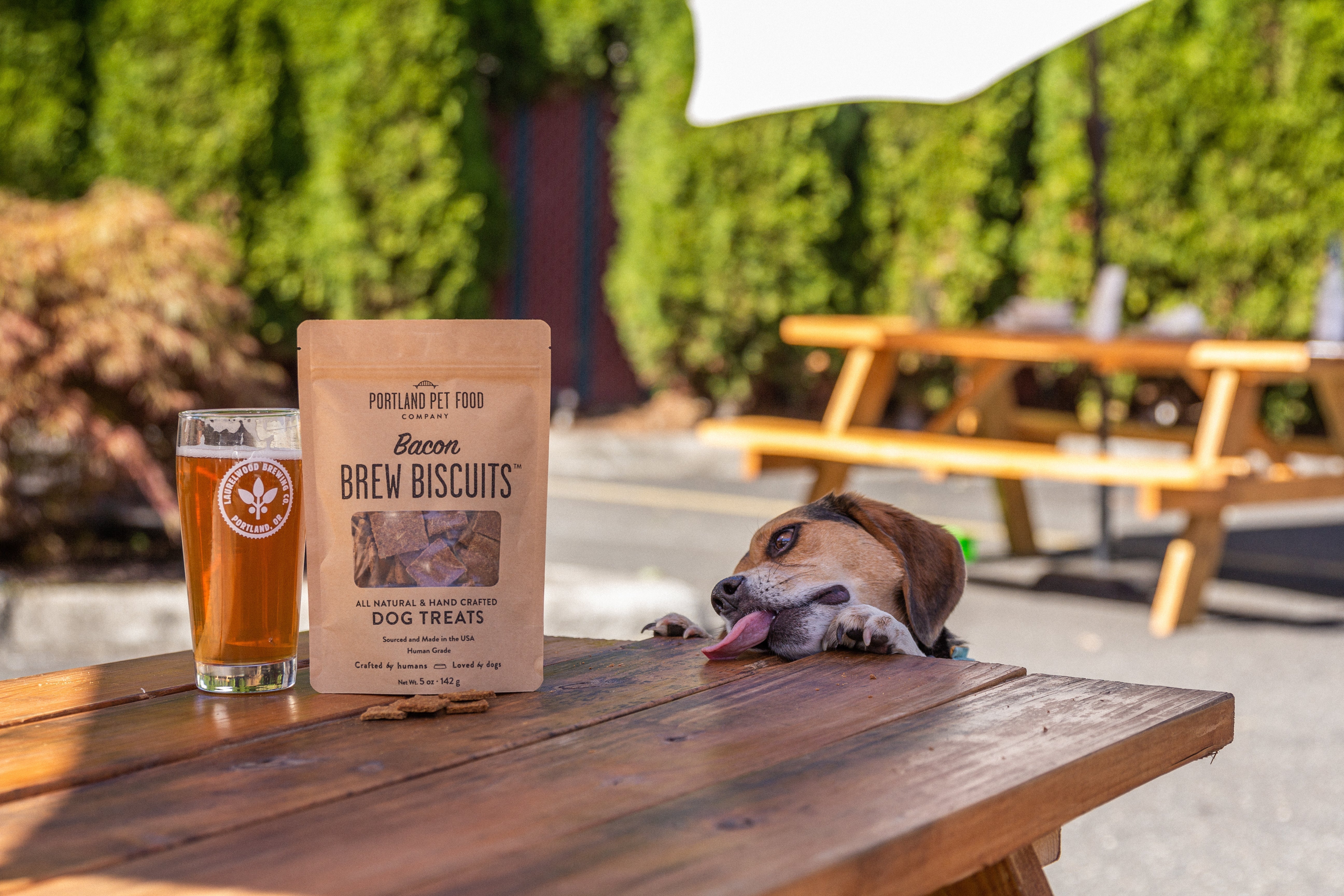 Can Dogs Eat Bacon? - Portland Pet Food Company