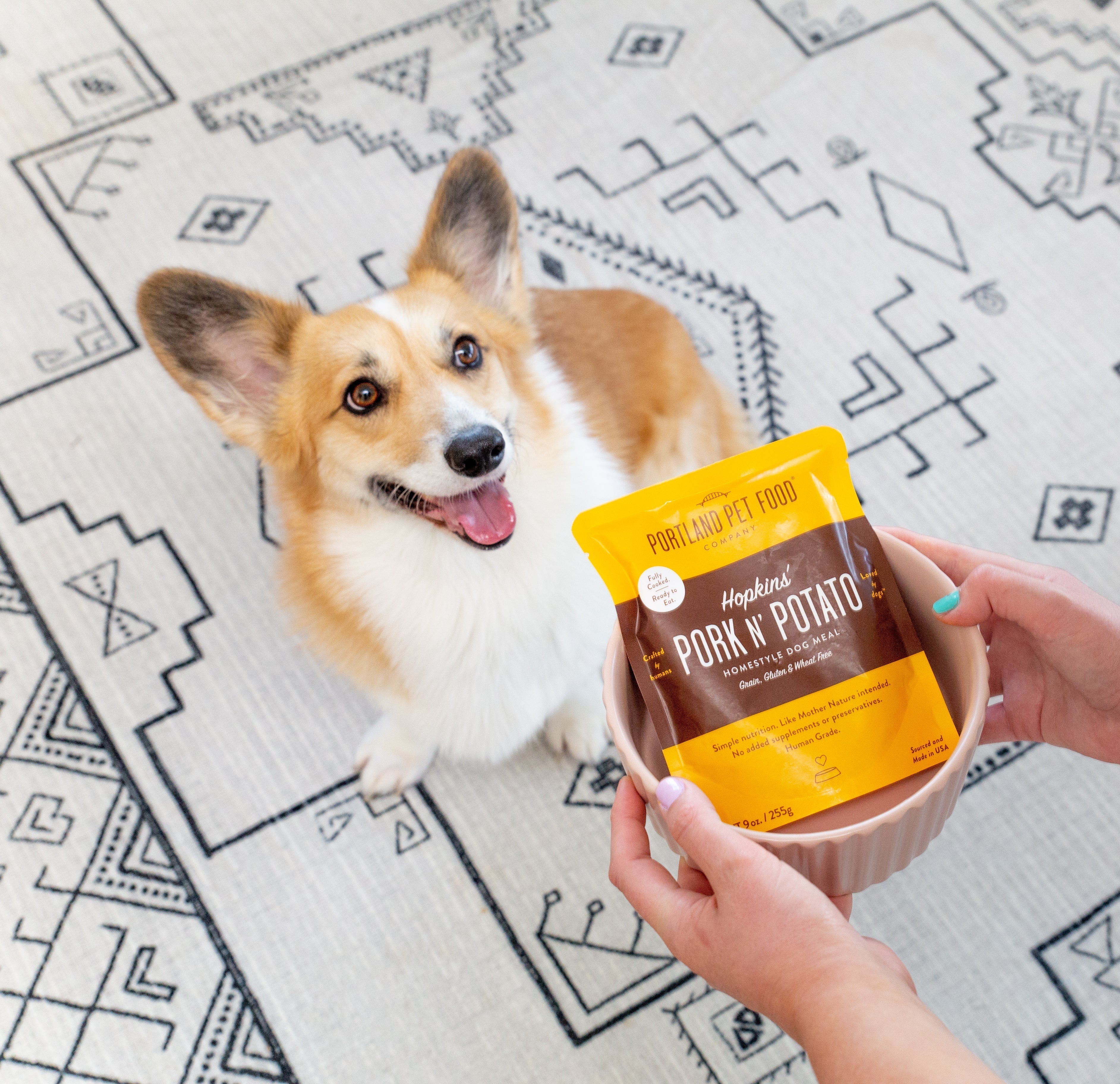 Can Dogs Eat Potatoes? - Portland Pet Food Company