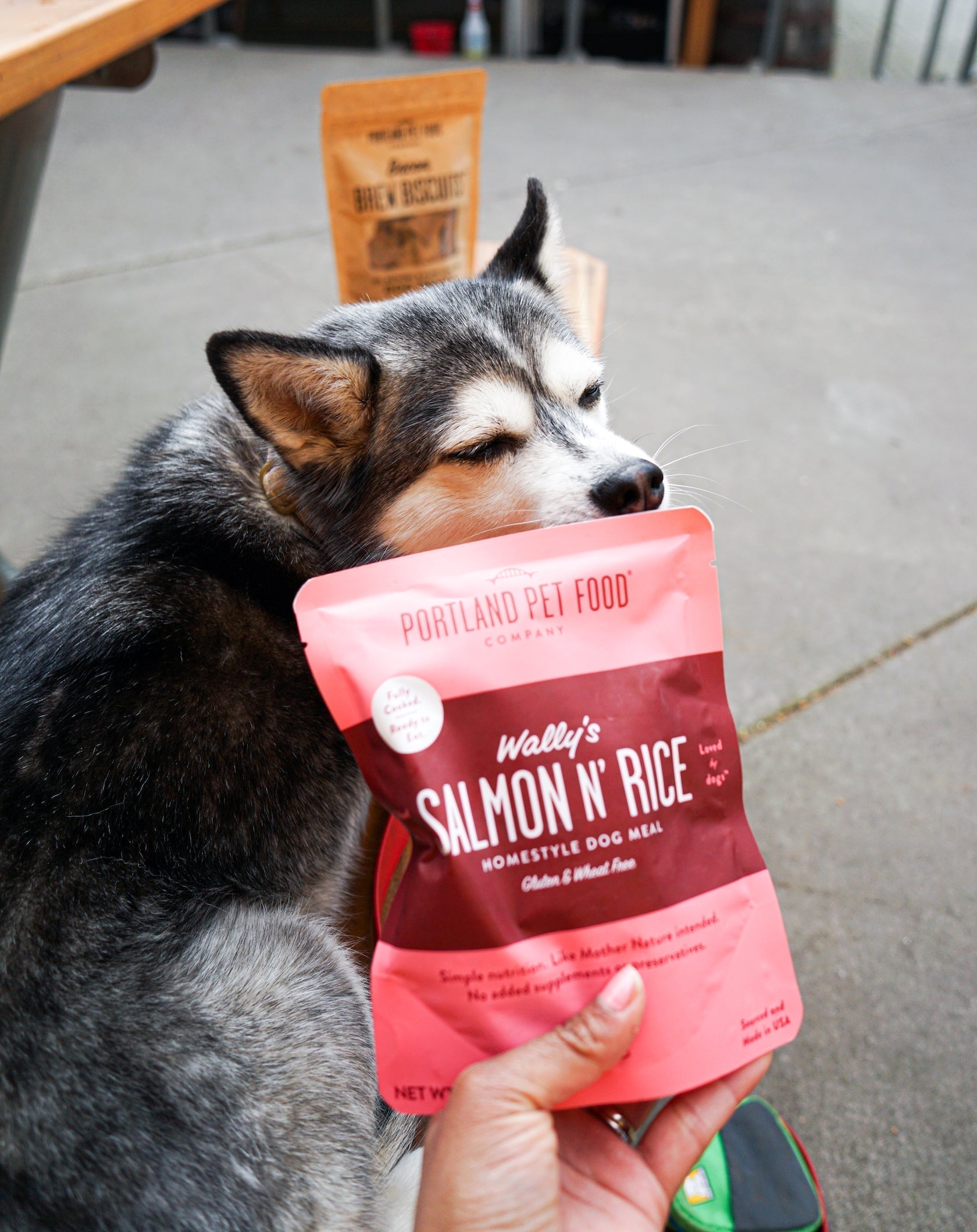 Can Dogs Eat Rice? - Portland Pet Food Company