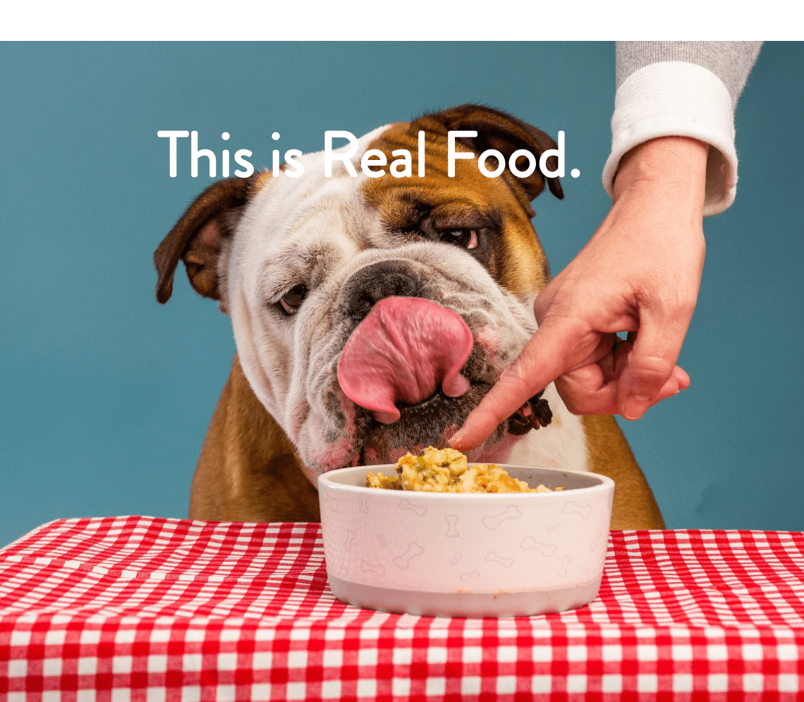 Dog Food Toppers For Picky Eaters: Made In The USA - Portland Pet Food Company