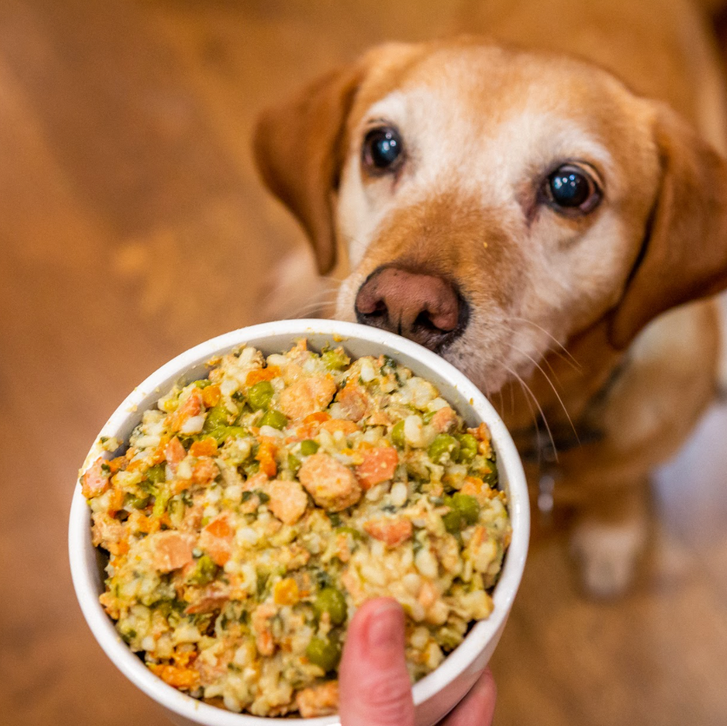 Dog Food Toppers For Senior Dogs: Made In The USA - Portland Pet Food Company