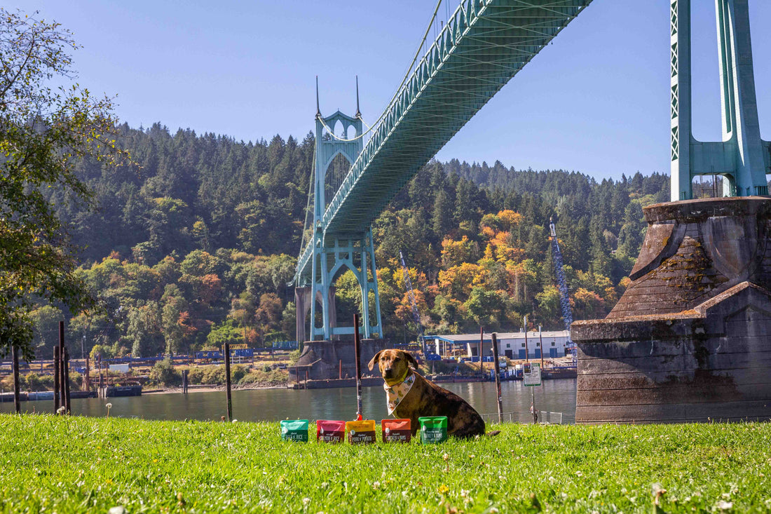 Dog-Friendly Things To Do In Portland: St. Johns - Portland Pet Food Company