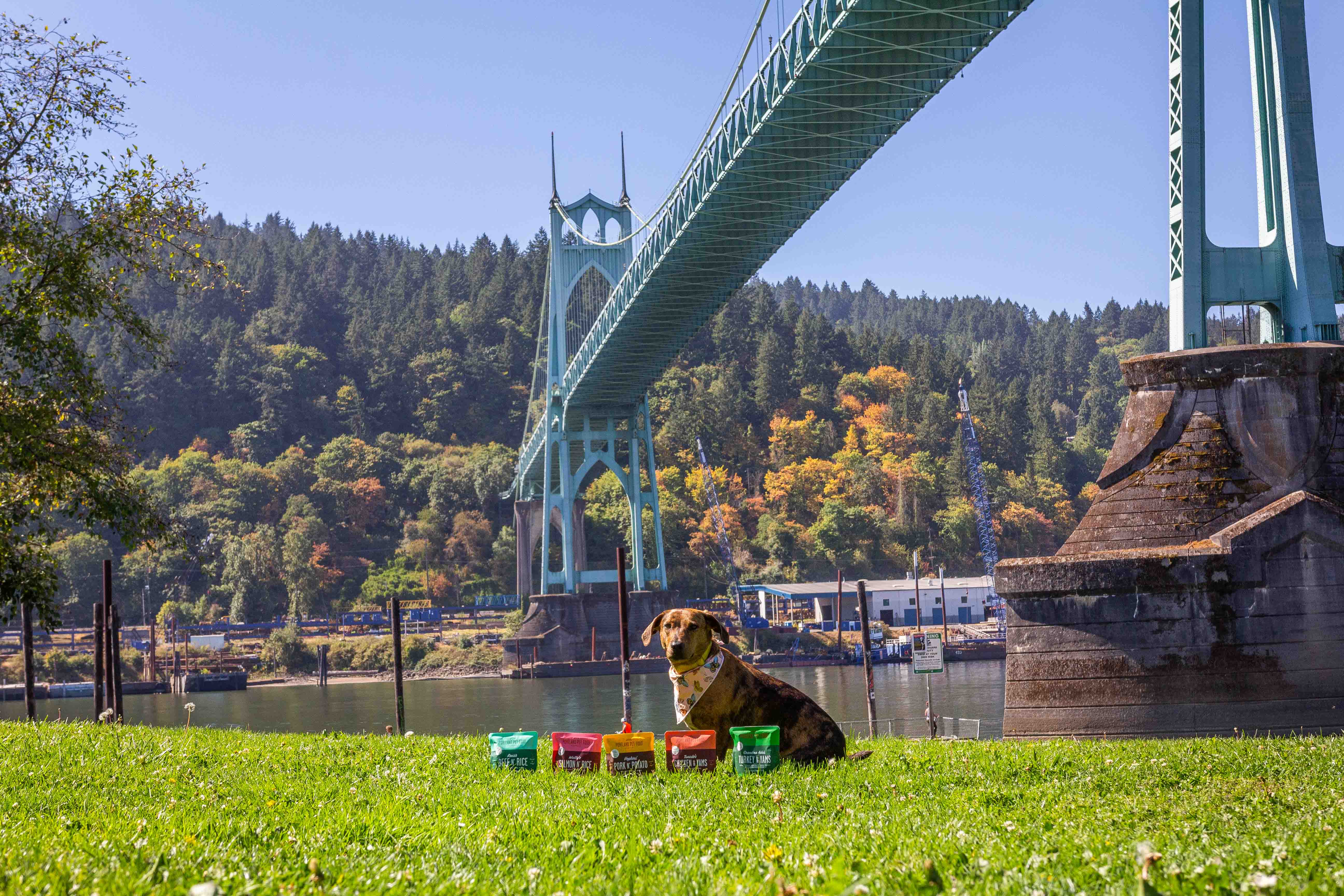 Dog-Friendly Things To Do In Portland: St. Johns - Portland Pet Food Company