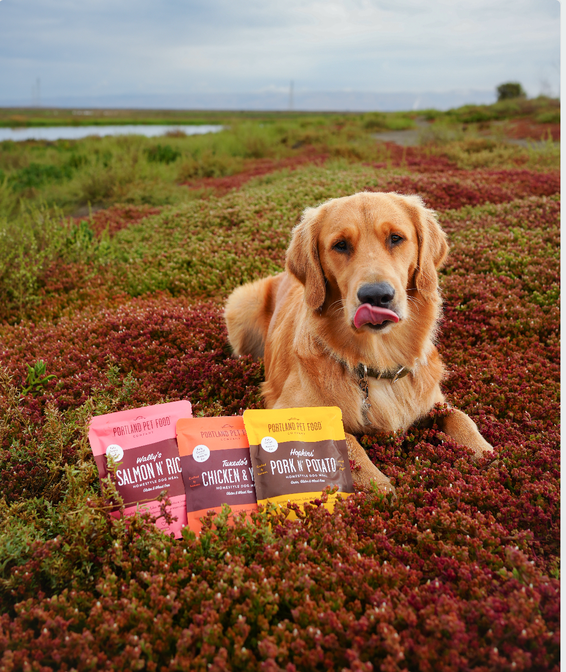 Gently Cooked Dog Food Toppers - Portland Pet Food Company