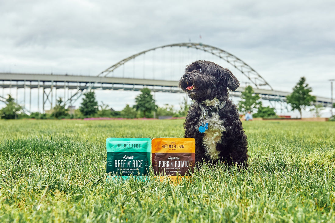 Gluten Allergy In Dogs - Portland Pet Food Company
