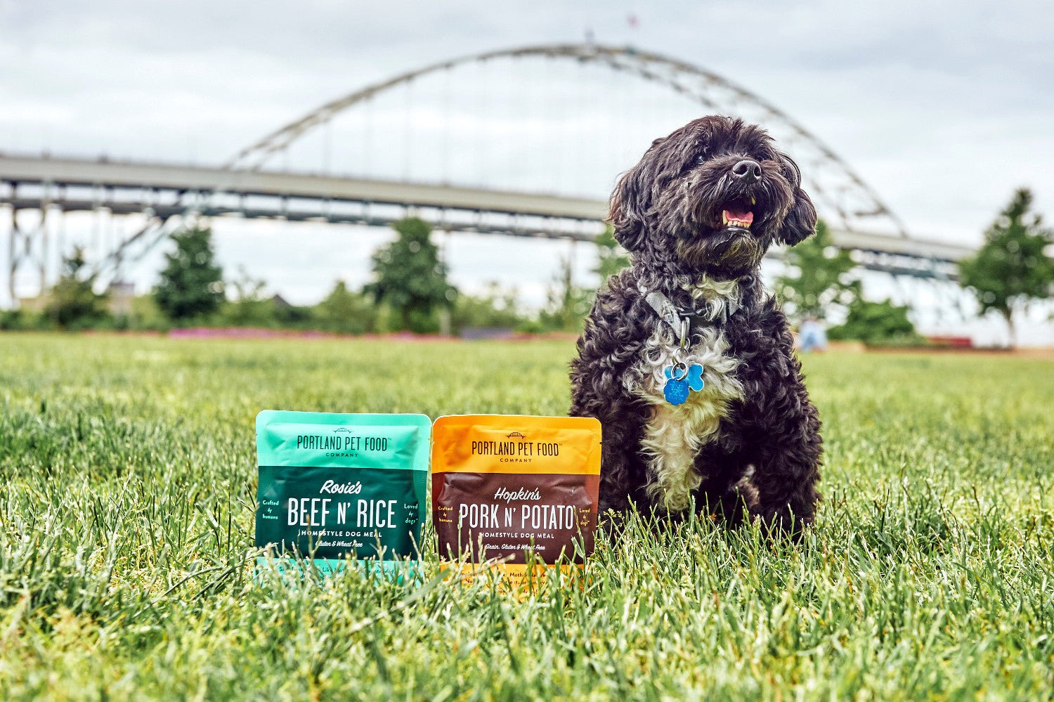 Go Global, Eat Local with Adventure-Ready Meal Pouches - Portland Pet Food Company