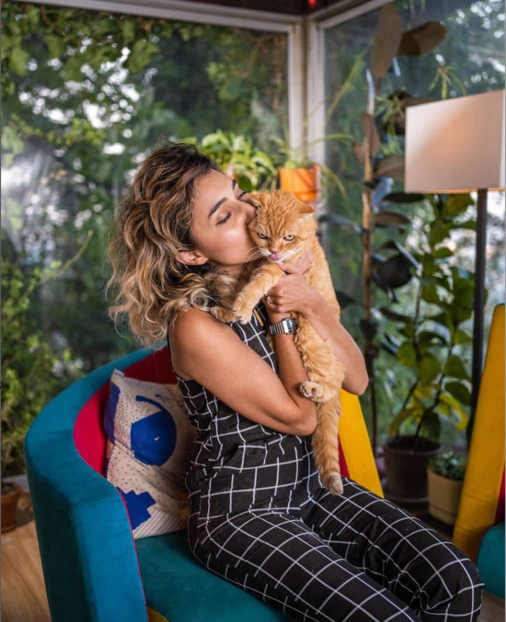 Healthy Cat Food Toppers - Portland Pet Food Company