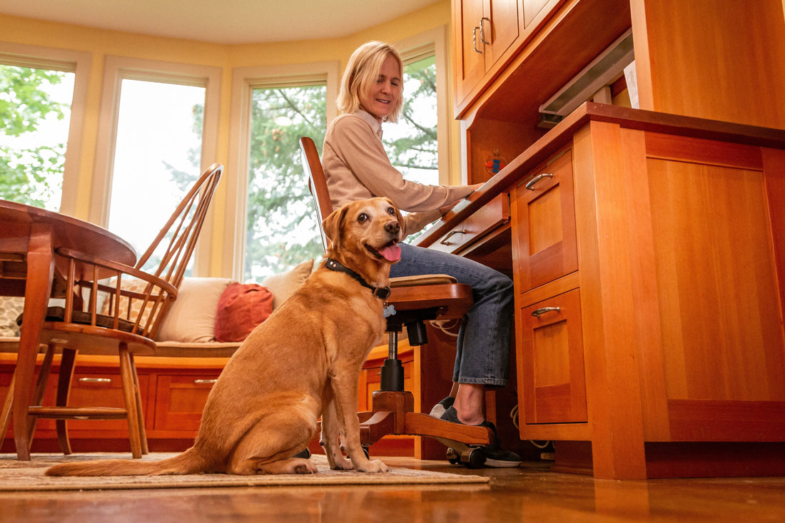 How To Keep Your Dog Entertained At Home While You Work - Portland Pet Food Company