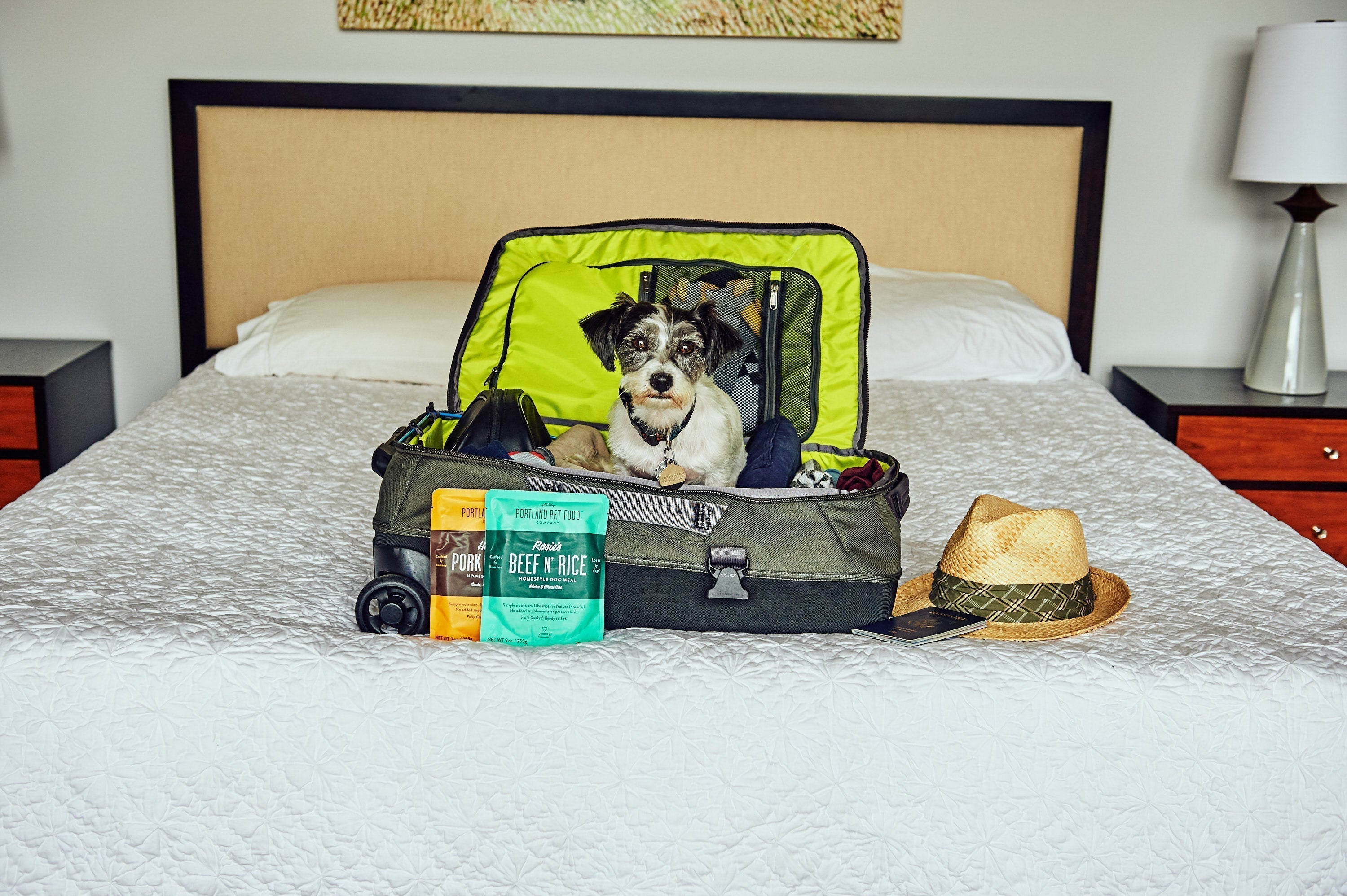 How To Take A Road Trip With Your Dog - Portland Pet Food Company