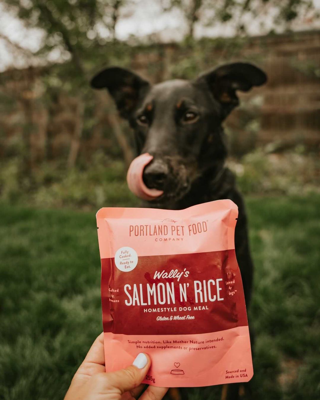 Is Grain-Free Dog Food Good For Dogs? - Portland Pet Food Company