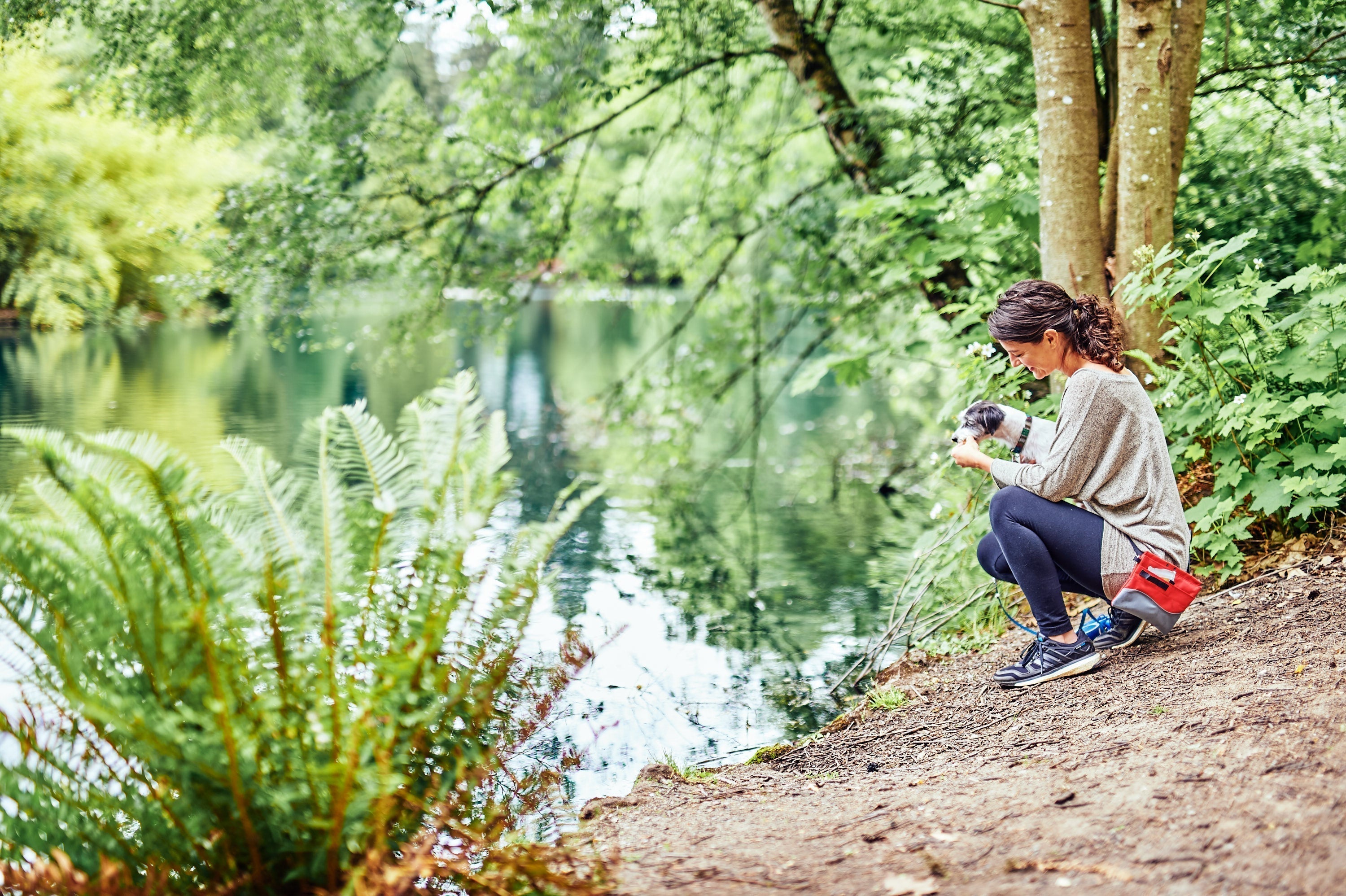 Keeping Dogs Nourished For Hikes - Portland Pet Food Company