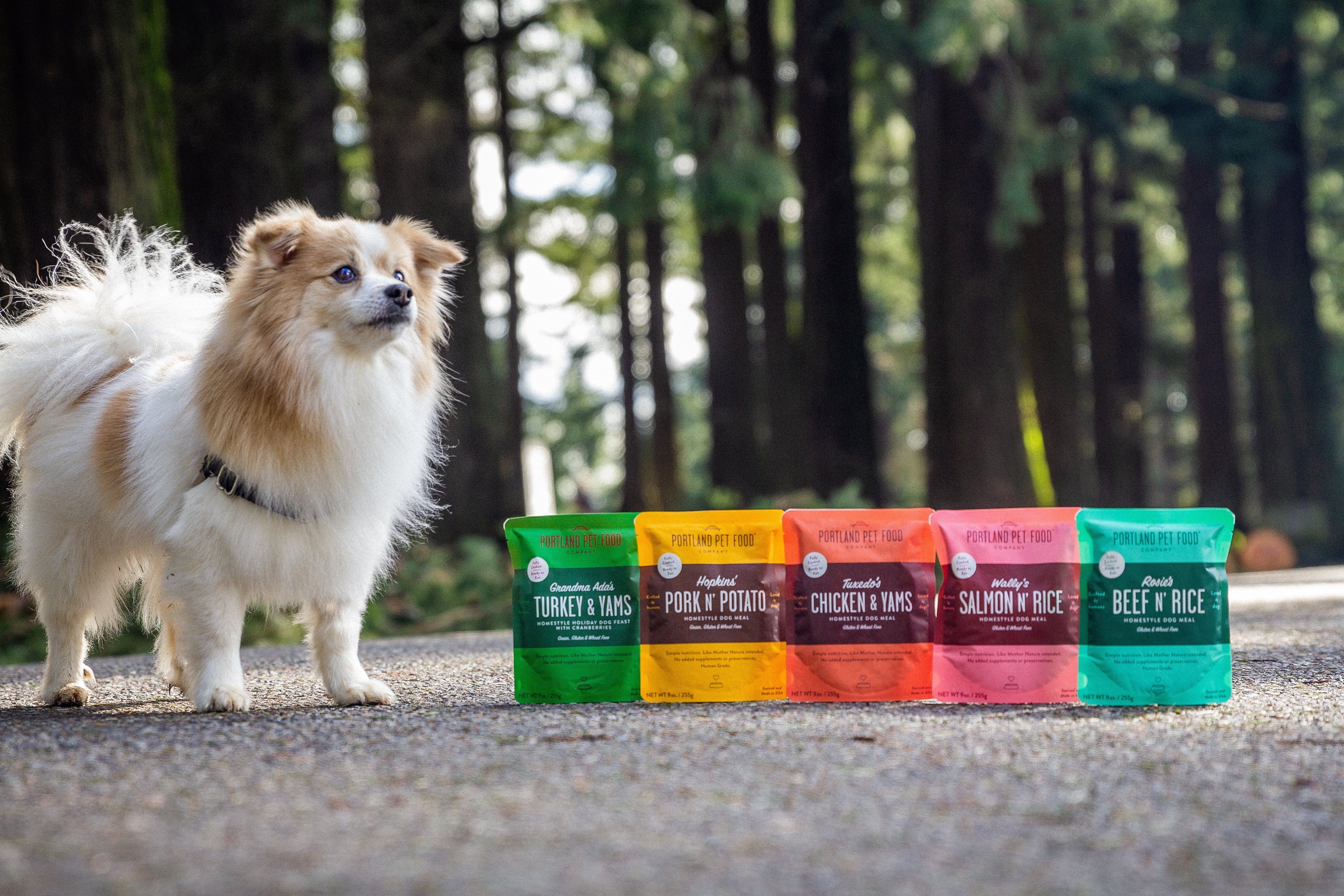 Keeping Your Dog Hydrated: Dehydration Signs and Tips - Portland Pet Food Company