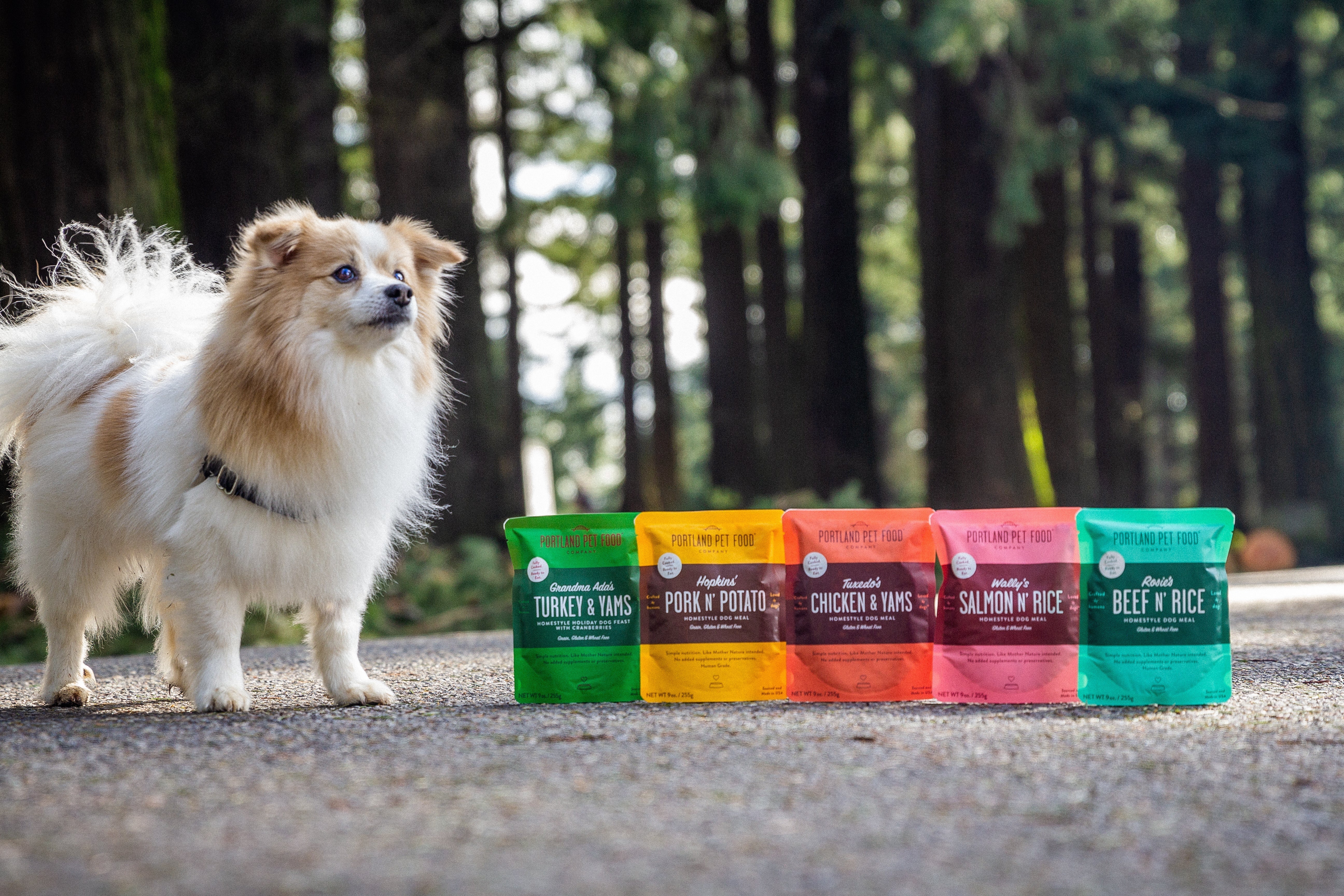 Keeping Your Dog Hydrated: Dehydration Signs and Tips - Portland Pet Food Company