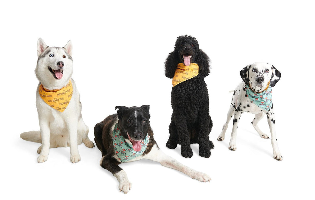 Meet The Portland Pet Food Company Dog Pack - Portland Pet Food Company