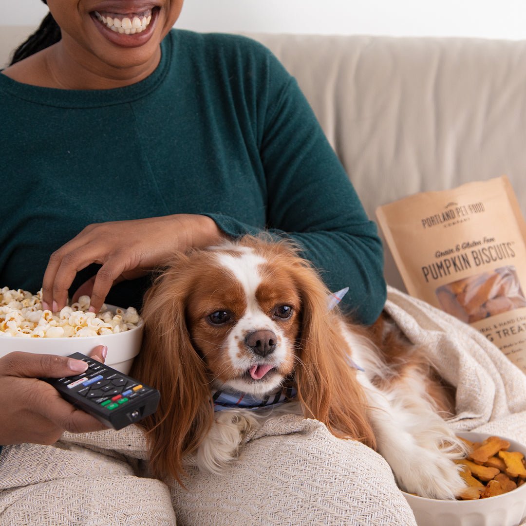 Netflix + Dog: Our Five Fave Canine Movies - Portland Pet Food Company