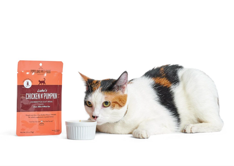 A senior cat ready to eat a bowl of healthy, wet cat food from Portland Pet Food Company.