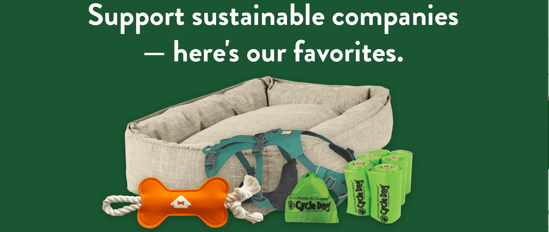 Our Favorite Sustainable Pet Brands - Portland Pet Food Company