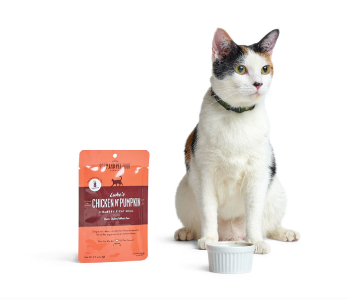 A picky cat patiently waiting to devour a bowl of wet cat food from Portland Pet Food Company.