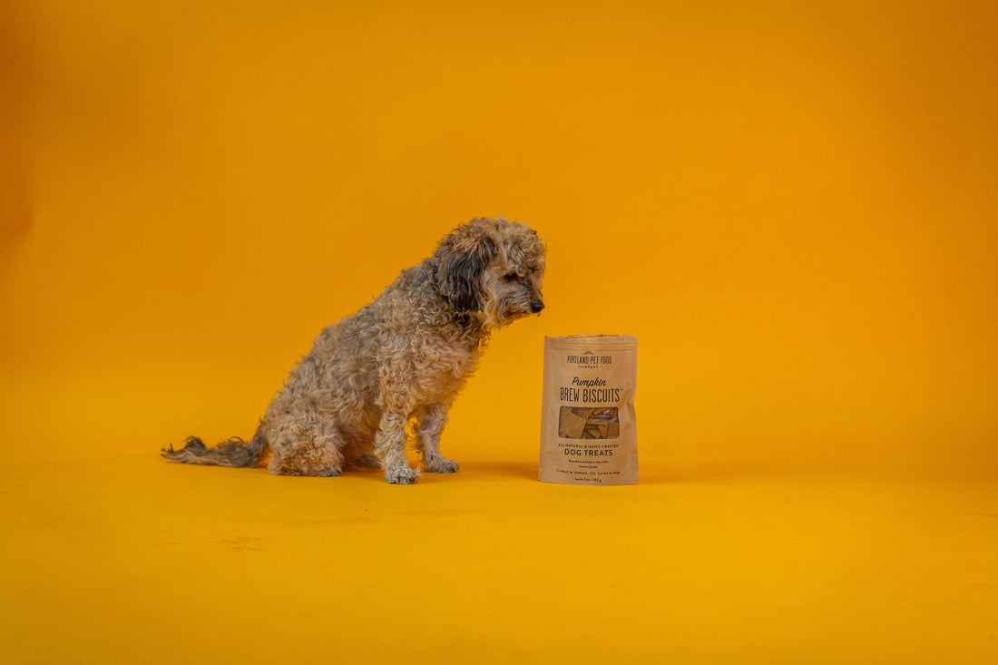 Portland Pet Food Company Expands Senior Management Team - Portland Pet Food Company