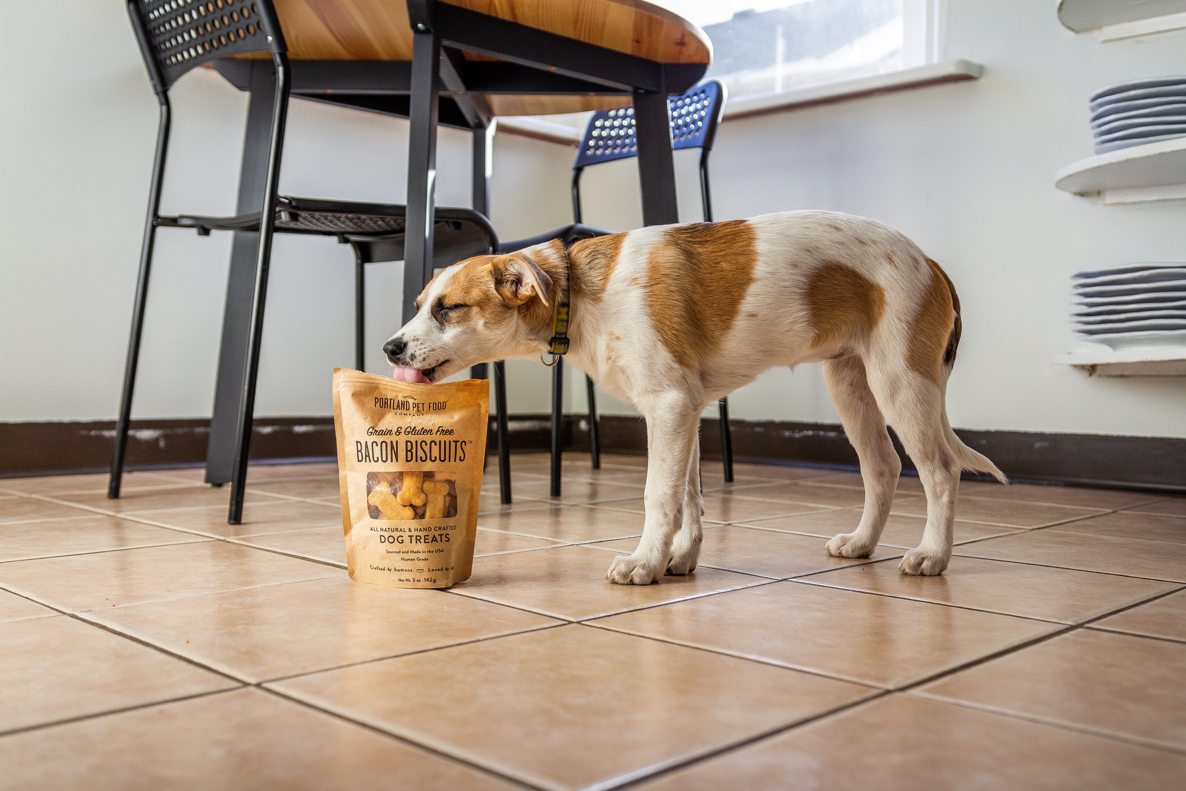 Portland Pet Food Company Sets Intentions For 2021 - Portland Pet Food Company