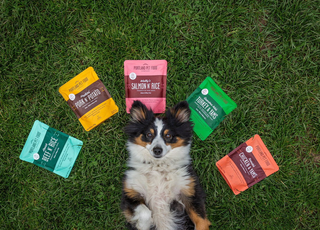 Portland Pet Food Company Upcycling Report 2022 - Portland Pet Food Company