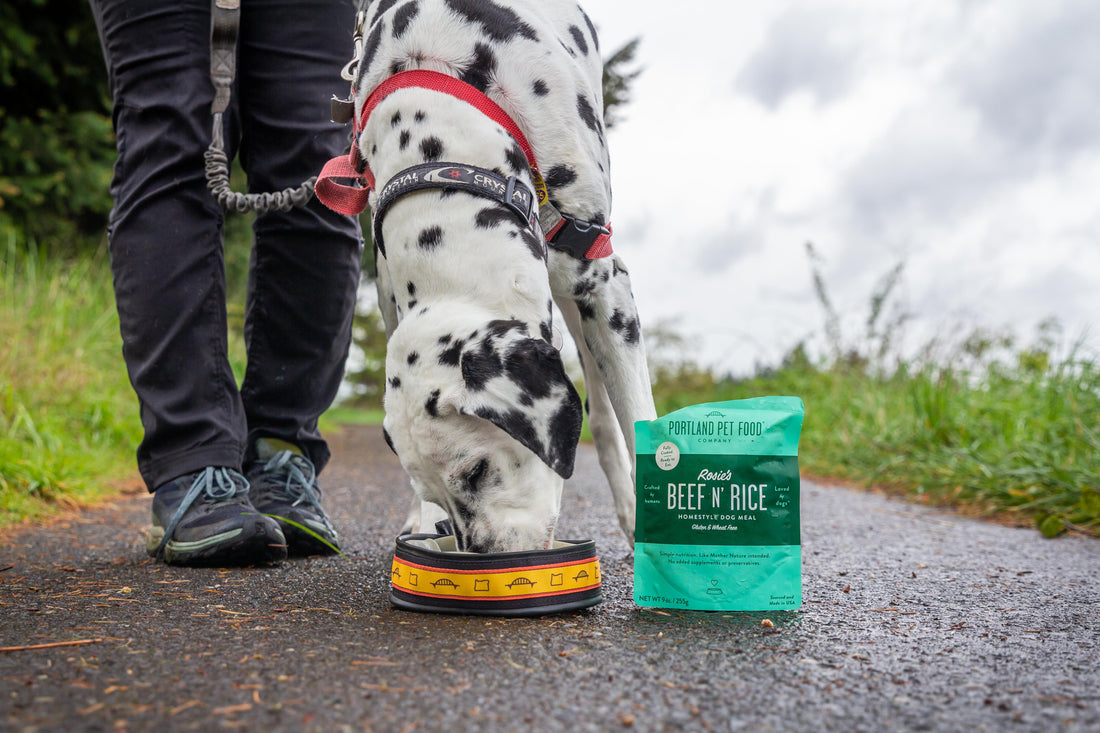 Senior Dogs And Sensitive Stomachs - Portland Pet Food Company