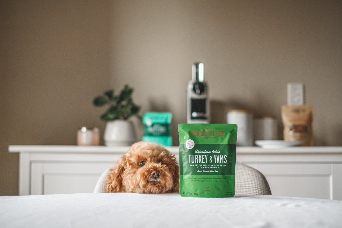 Seven Things You Should Know About Dog Weight - Portland Pet Food Company
