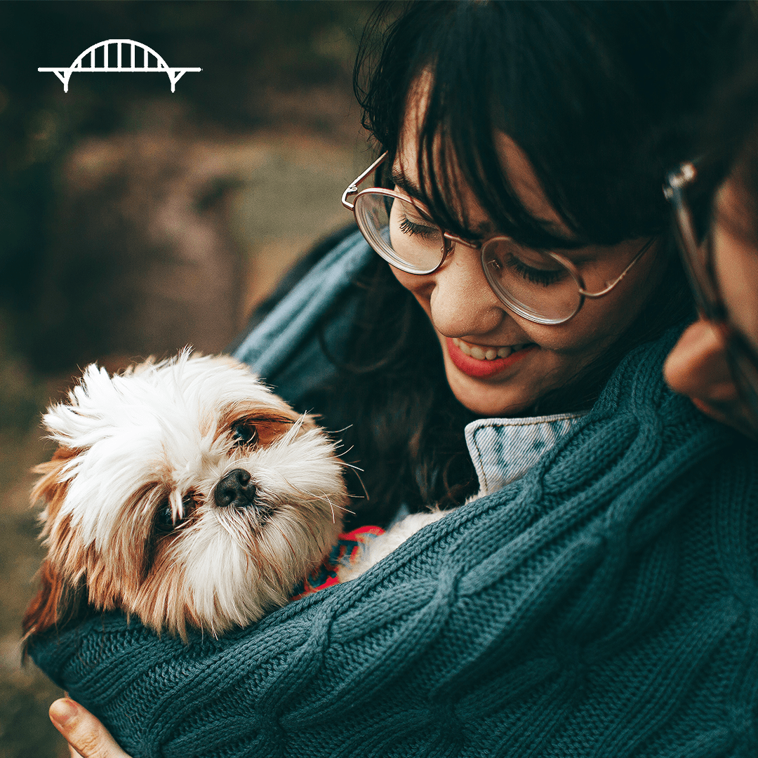 Six Ways To Ease Your Dog Into A New Home - Portland Pet Food Company